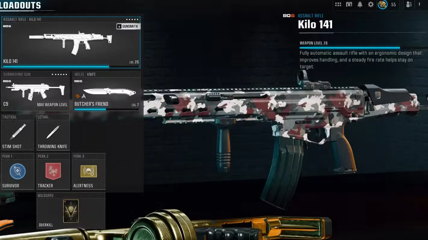 بهترین اسلحه loadout وارزون وردانسک kilo 141 (2)
