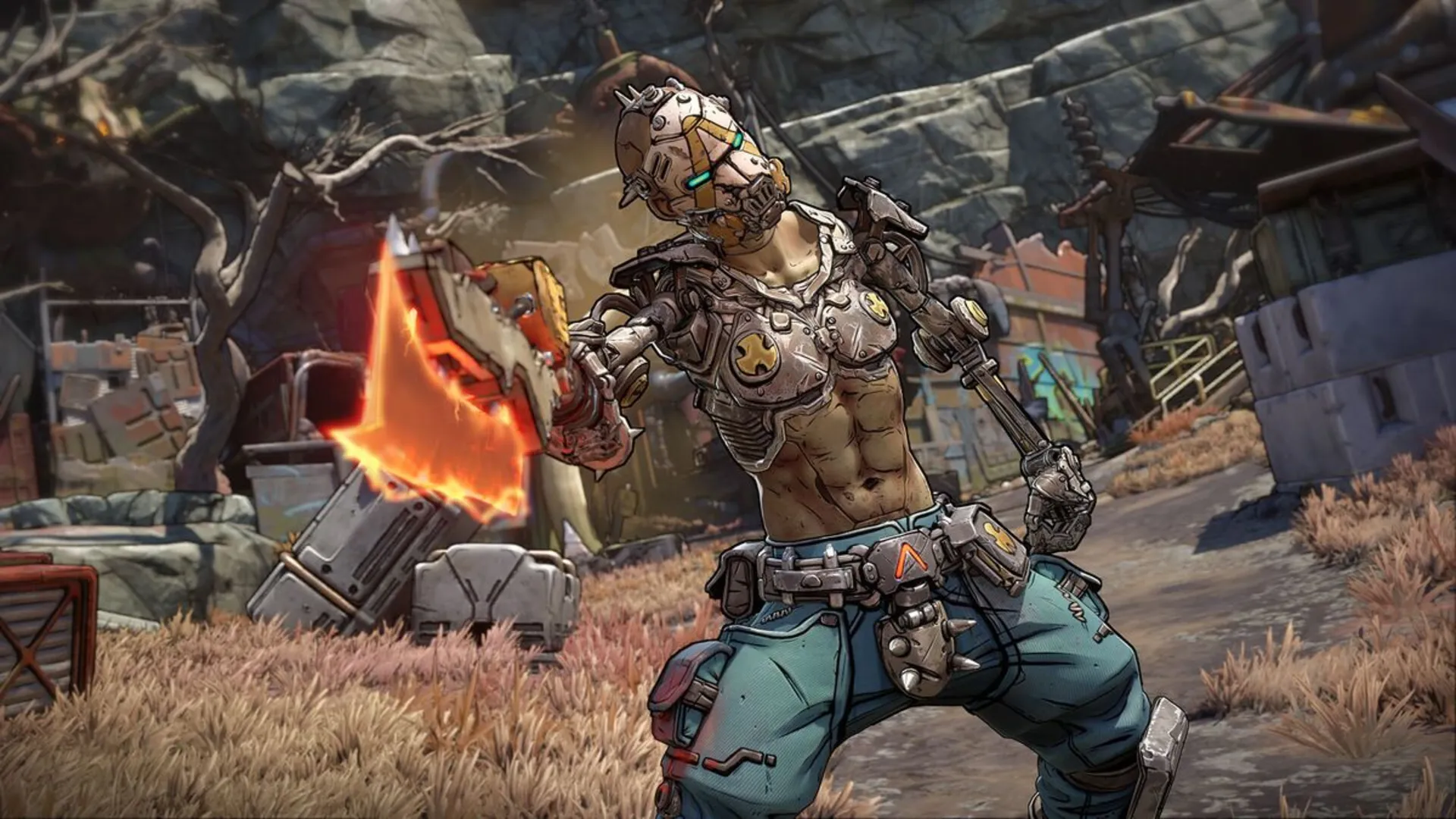 borderlands 4 switch 2 release