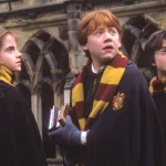 حقایق Harry Potter: رازهایی از هری، رون و هرماینی