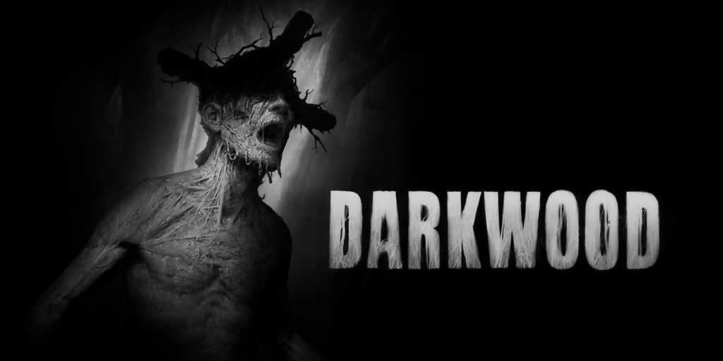 H2x1 NSwitchDS Darkwood image1600w